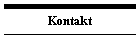 Kontakt